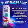 Ring Pop Blue Raspberry 12-Pack