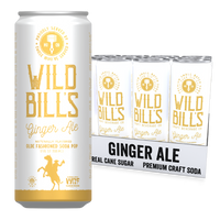 Ginger Ale Soda – 12 Pack
