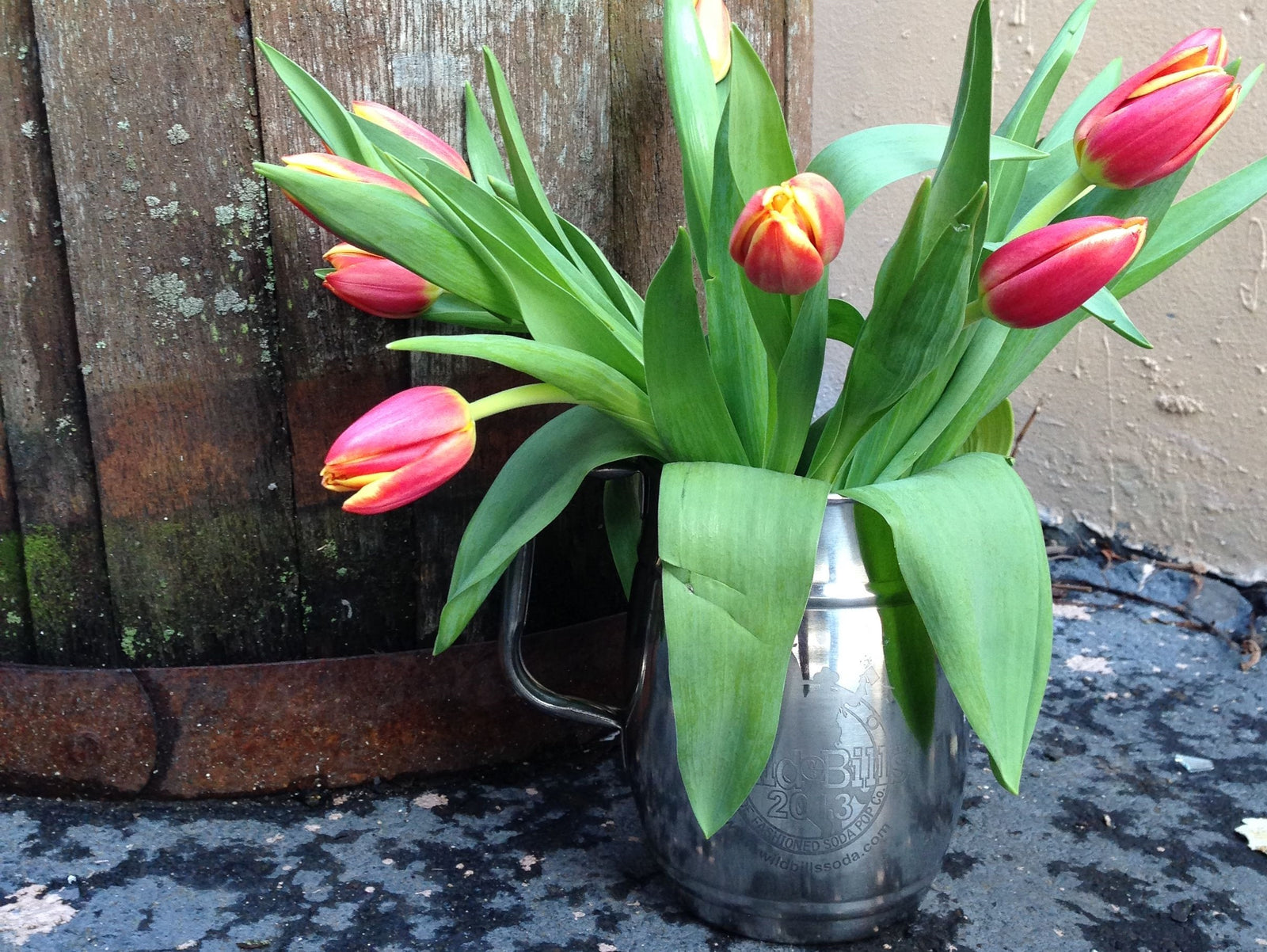 Alternative Uses for YOUR Wild Bill's Mug