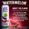 Ring Pop Watermelon 12-Pack