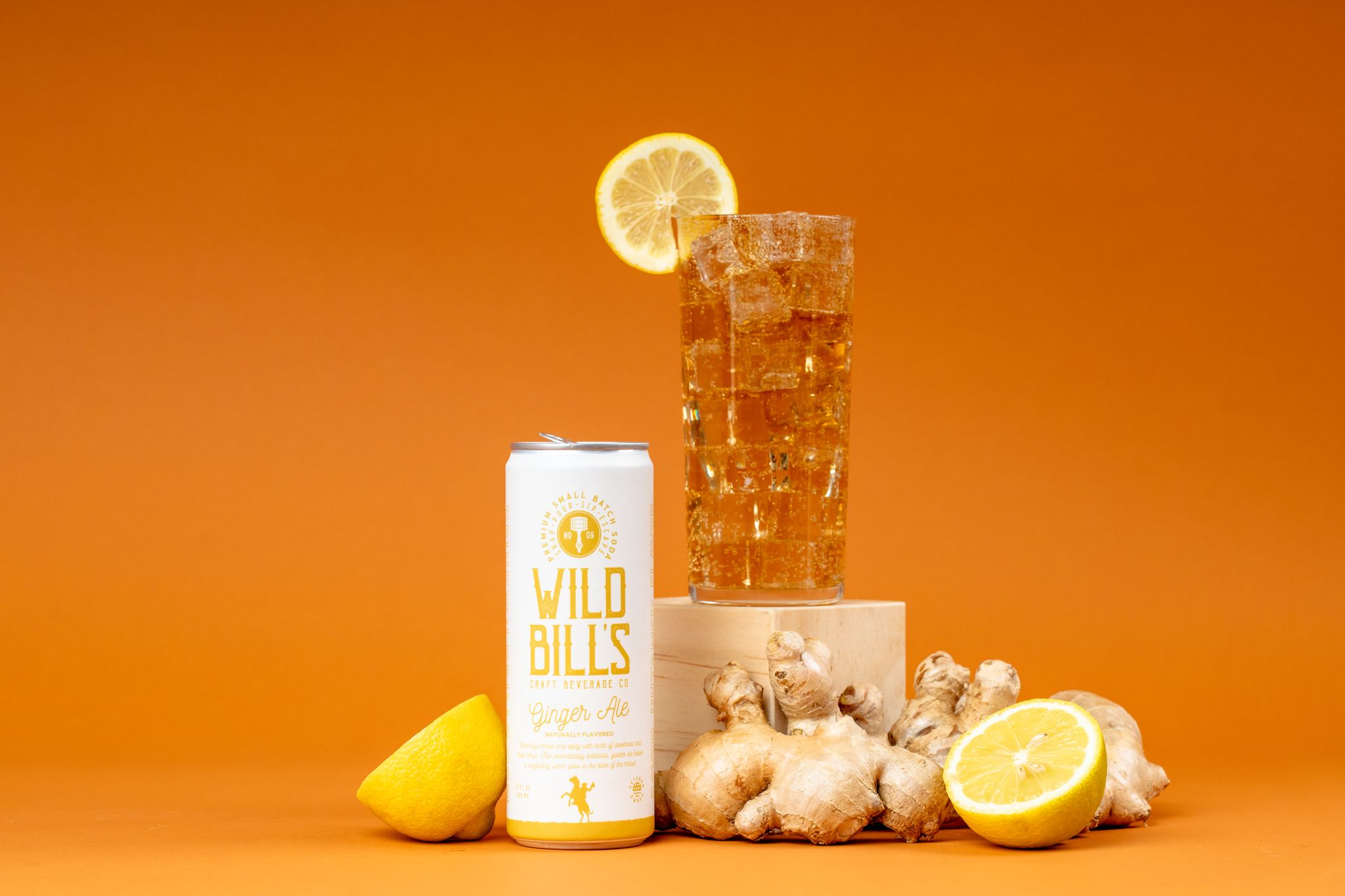 Ginger Ale Soda – 12 Pack